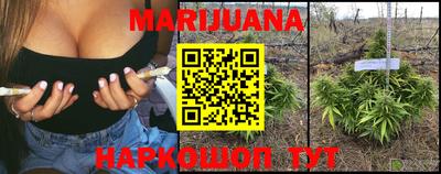 индика Краснодар