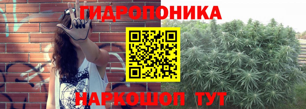 Кандалакша  Каннабис планчик  Бошки марихуана конопля  Канабис план  Вход с VPN 